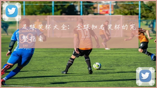 足球奖杯大全：全球知名奖杯的完整指南
